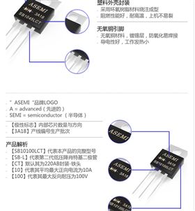 SB10100LCT