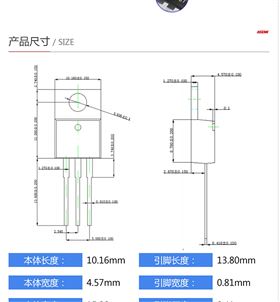 SB10100LCT